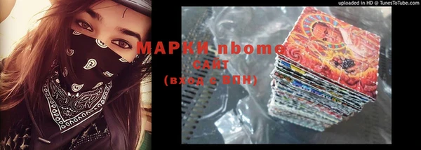 шишки Заволжск