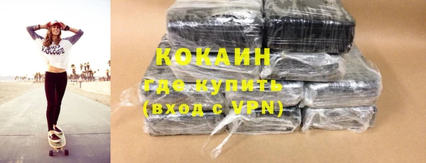 шишки Заволжск