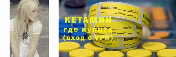 шишки Заволжск