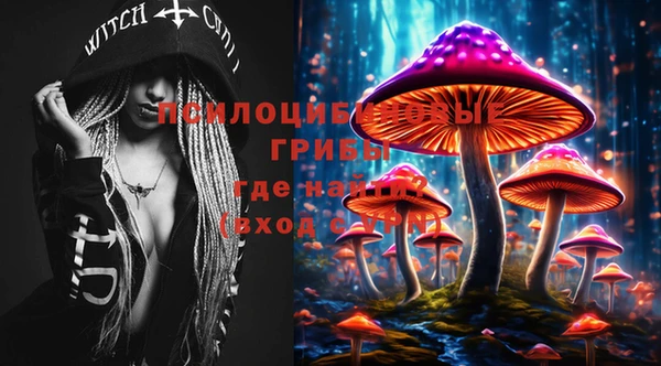 шишки Заволжск