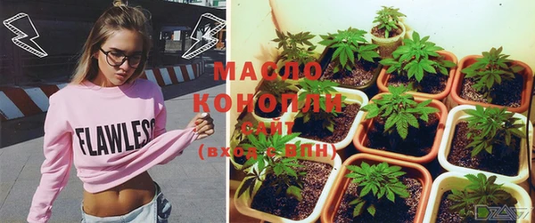 шишки Заволжск