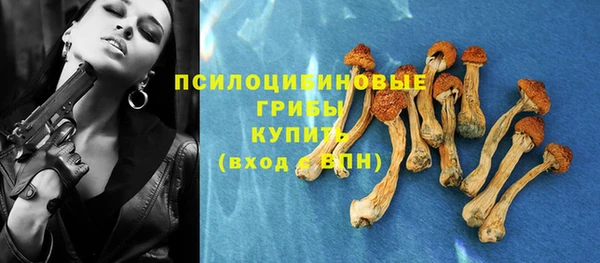COCAINE Заводоуковск