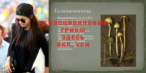 шишки Заволжск
