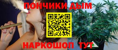 PSILOCYBIN Канаш