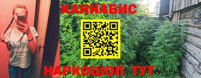 гашик Гусь-Хрустальный