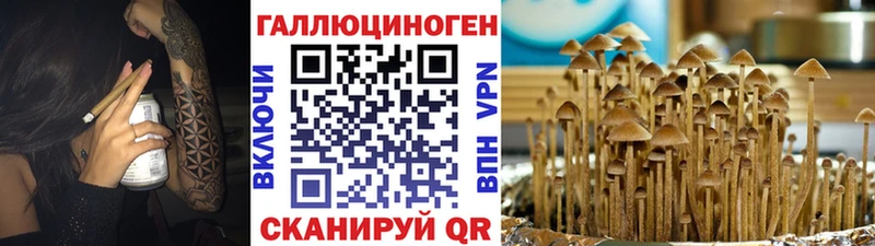 наркота  Сибай  Псилоцибиновые грибы мухоморы 