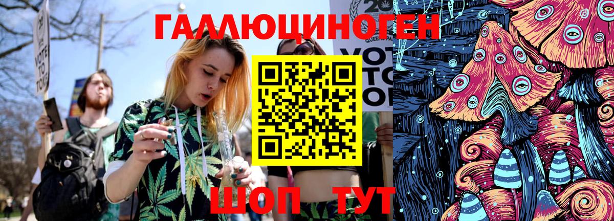 Псилоцибиновые грибы Psilocybine cubensis  Псилоцибиновые грибы прущие грибы  Сибай 