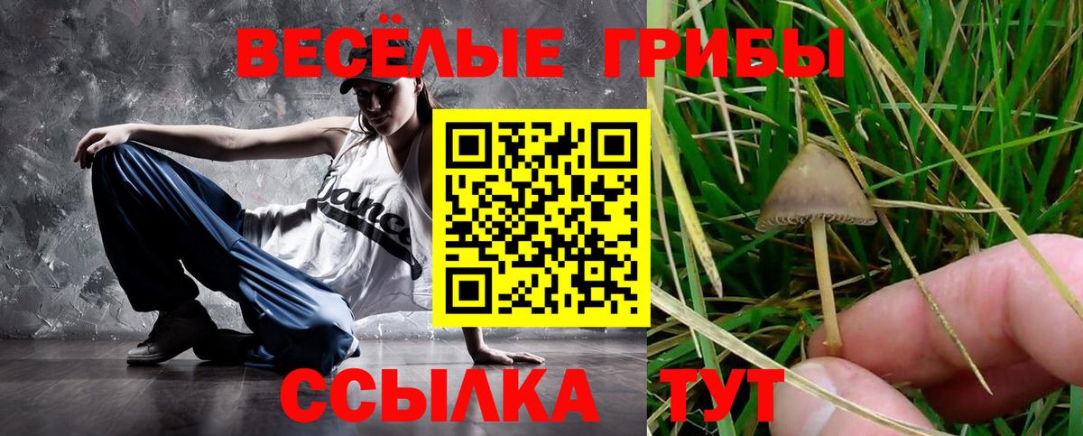 Псилоцибиновые грибы Cubensis Сибай