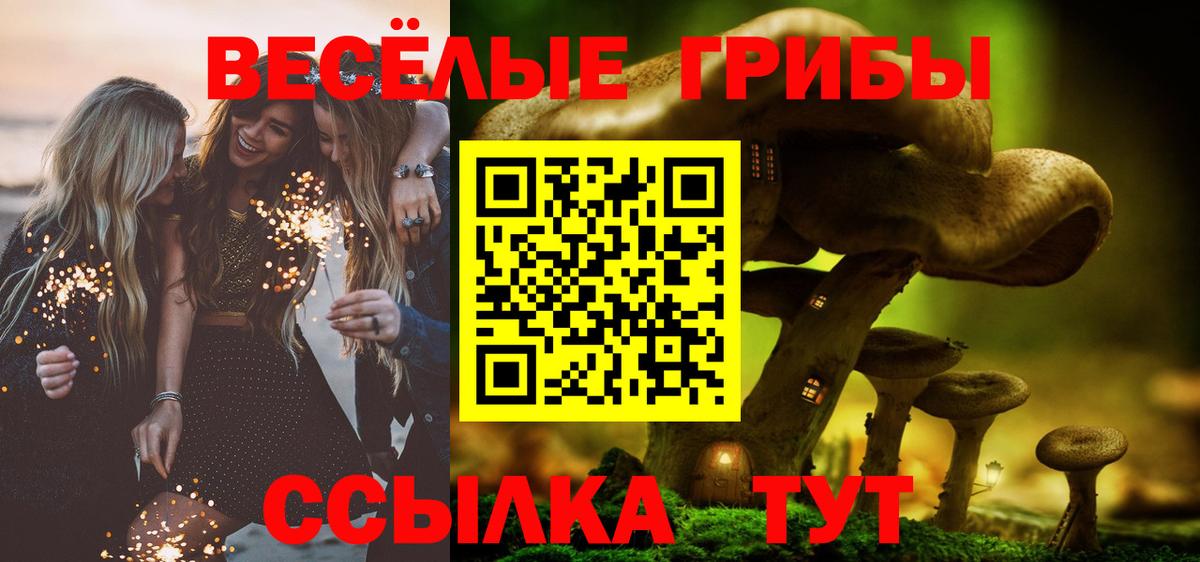 Псилоцибиновые грибы прущие грибы Сибай