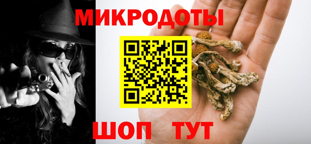 Сибай  Псилоцибиновые грибы мицелий  Вход с VPN 